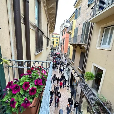 Imperial Mazzini Centro 1